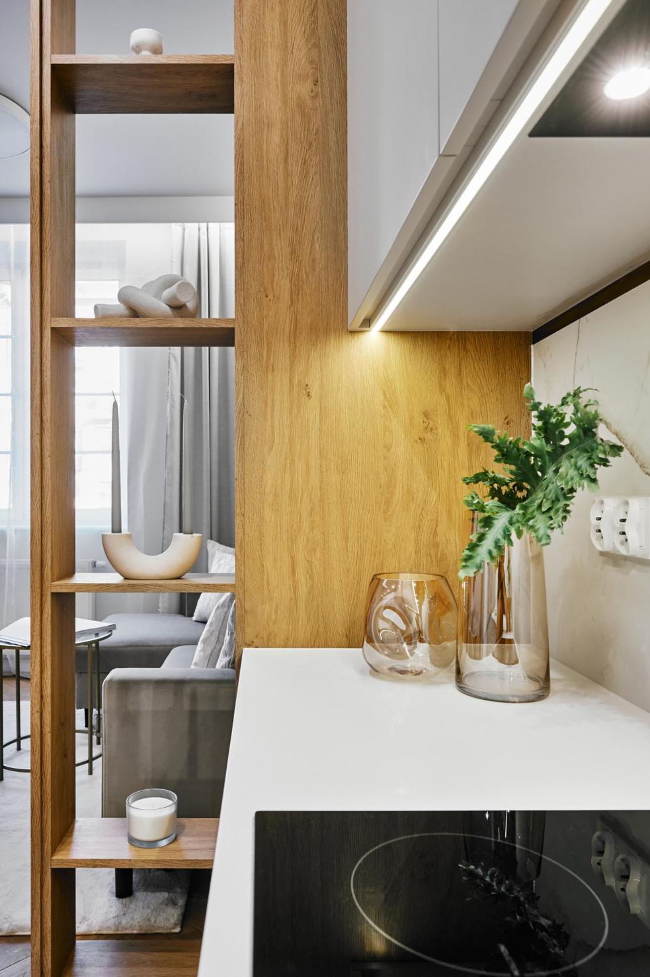 Apartment Rentplanet - Krasinskiego Krakau